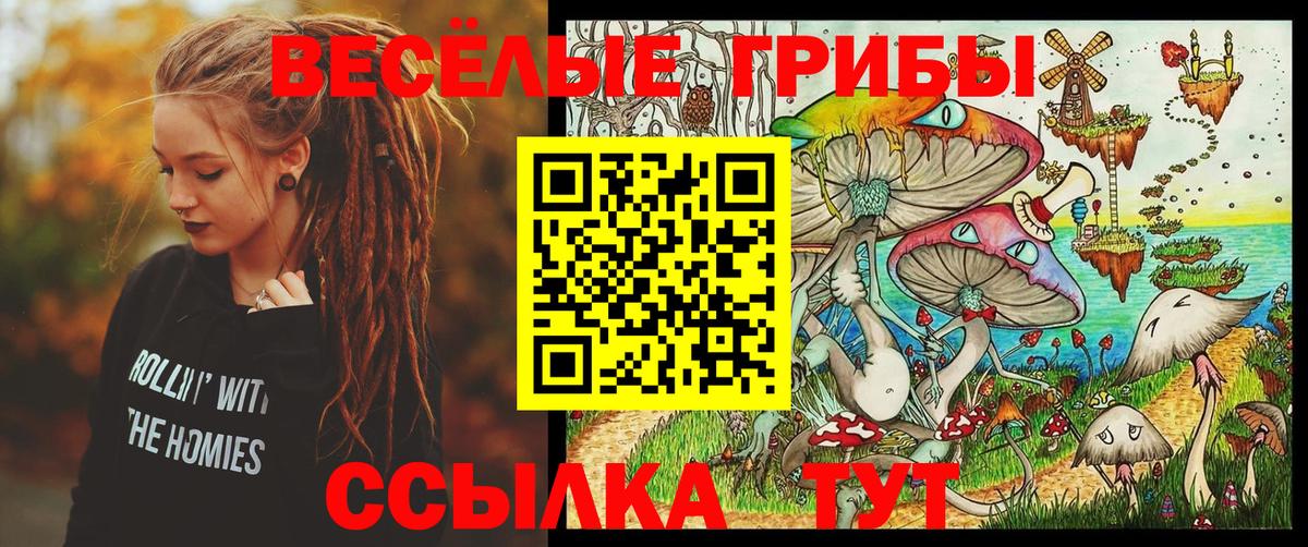 Димитровград  Псилоцибиновые грибы мухоморы  Псилоцибиновые грибы прущие грибы  Вход с VPN 