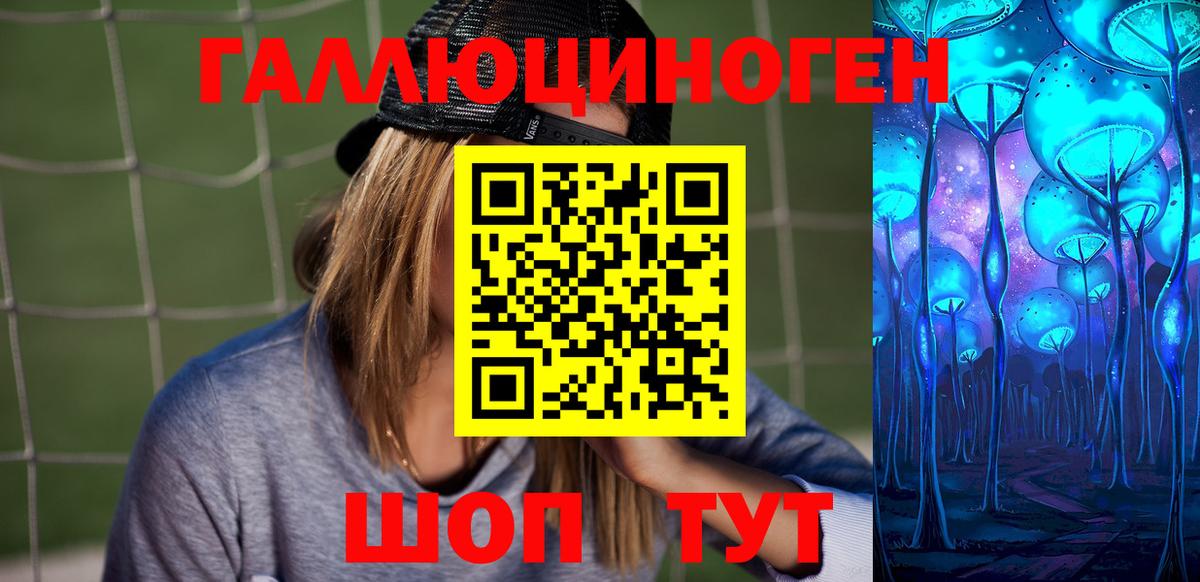 Галлюциногенные грибы Psilocybe Димитровград
