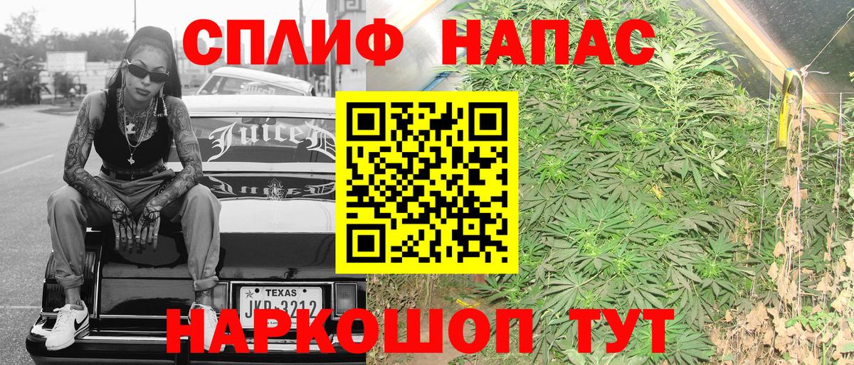 Бошки Шишки сатива Димитровград